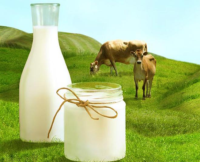 लंपी संक्रमित गायों के दूध का सेवन सेहत के लिए सुरक्षित है या नहीं, पढ़ें विशेषज्ञों की राय