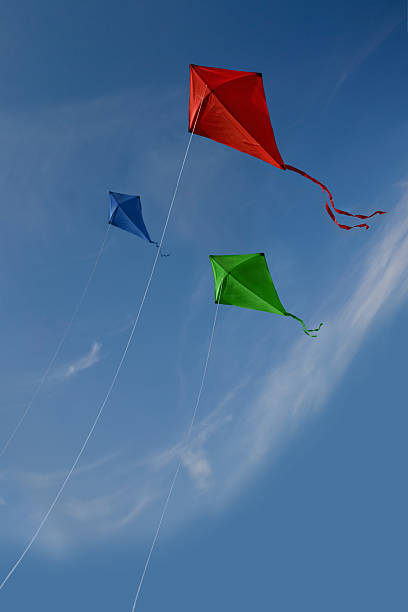 संक्रांति पर जयपुर में पतंगबाजी के लिए अच्छी हवा चलेगी