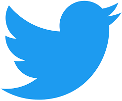 ट्विटर का लोगो बदलेंगे एलन मस्क:नीली चिड़िया की जगह ‘X’ हो सकता है नया लोगो